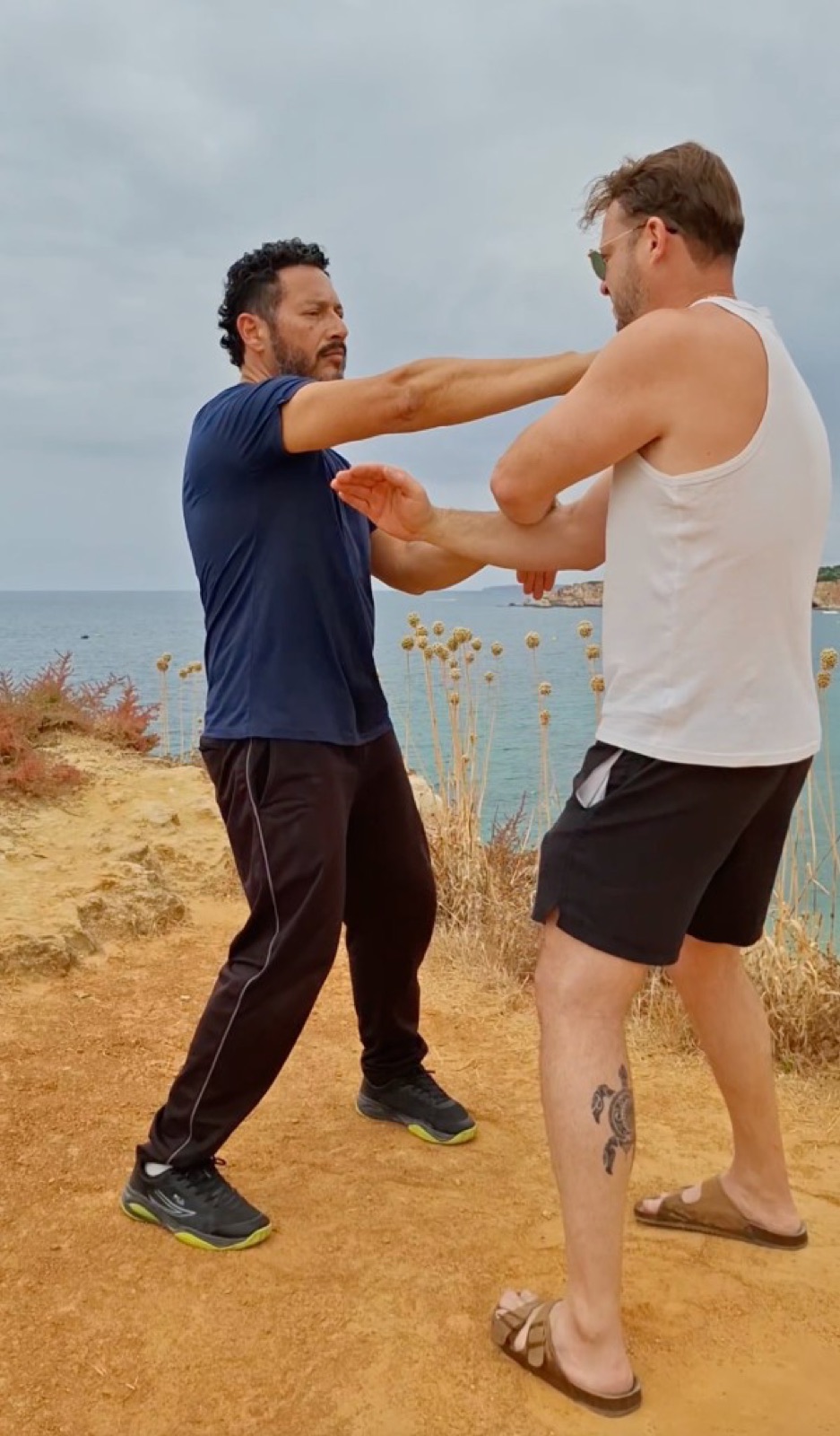 Wing Chun Mentor — treino presencial